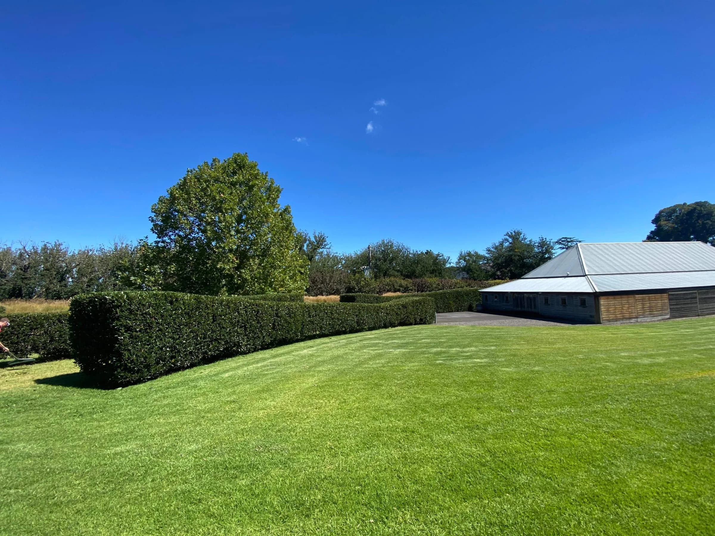 Freshly mowed lawn and trimmed hedge on a Regan's property maintenance job
