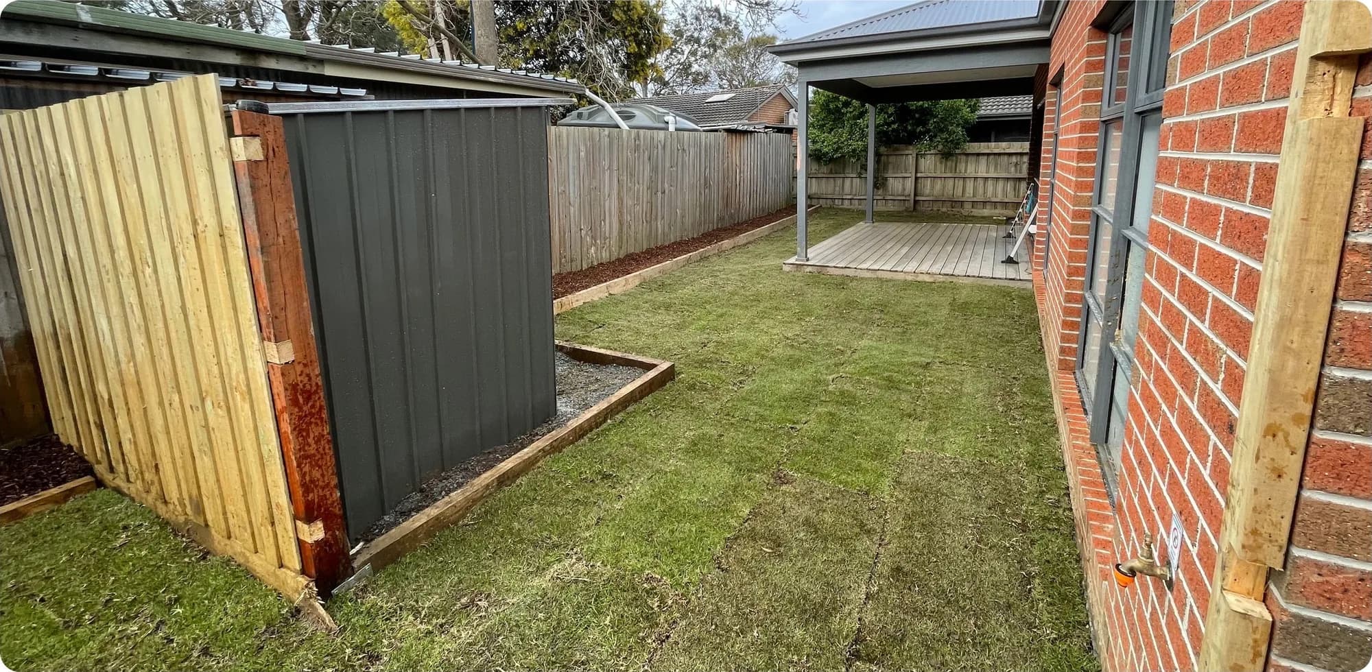 The same backyard laid with new lawn, with a new shed and timber fence