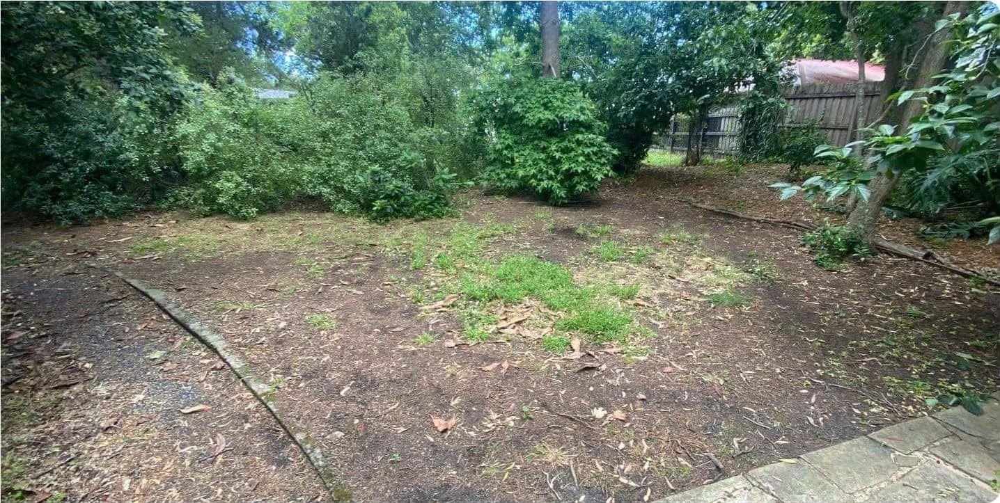 Bare, patchy backyard of dirt and weeds under established trees